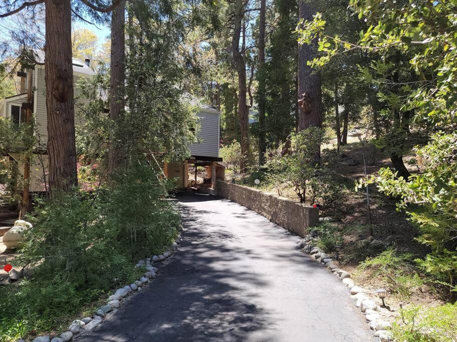Casa De Los Arboles! Delight & Solitude Abound! Pine Cove Exteriör bild
